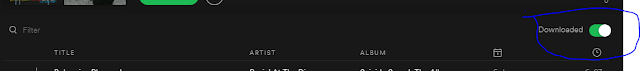 spotify mendadak hilang lagu hasil download 2 - Penyebab Hasil Download Lagu di Spotify Komputer Hilang