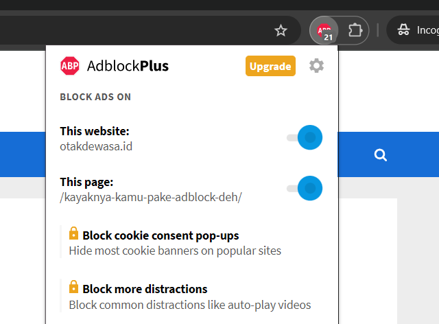 Adblock - Kayaknya kamu pake Adblock deh!